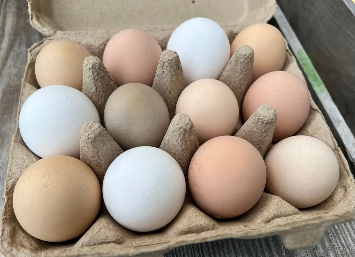 A dozen farm eggs in a paper carton, each a slightly different shade of brown, white and cream.