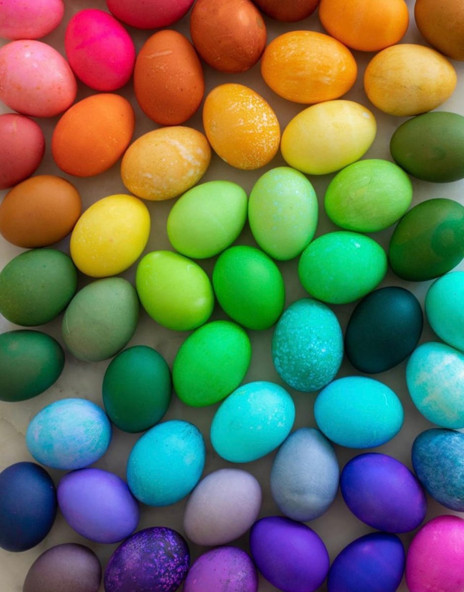 Dyed eggs laid out in a continuous gradient from pink through orange, yellow, green, blue and violet.